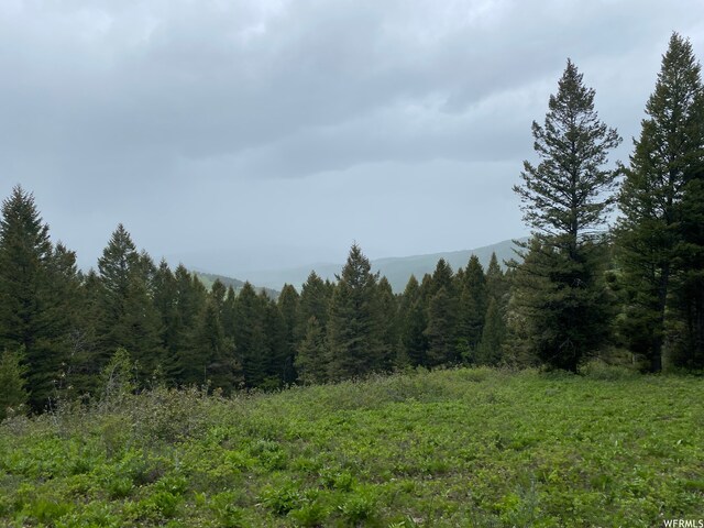 400 Grover Dry Farm Rd, Grover, WY 83122 - photo 55