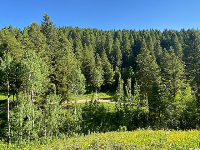 400 Grover Dry Farm Rd, Grover, WY 83122 - photo 3