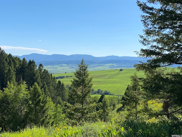 400 Grover Dry Farm Rd, Grover, WY 83122 - photo 10