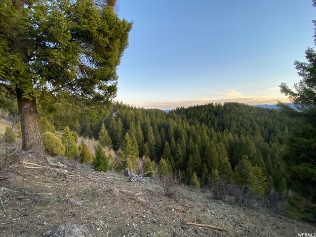 400 Grover Dry Farm Rd, Grover, WY 83122 - photo 36