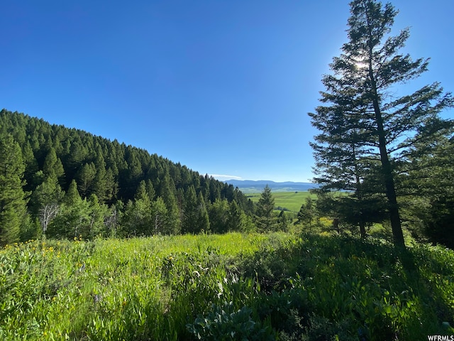400 Grover Dry Farm Rd, Grover, WY 83122 - photo 9