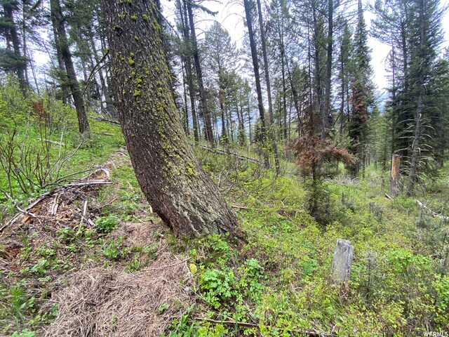 400 Grover Dry Farm Rd, Grover, WY 83122 - photo 49