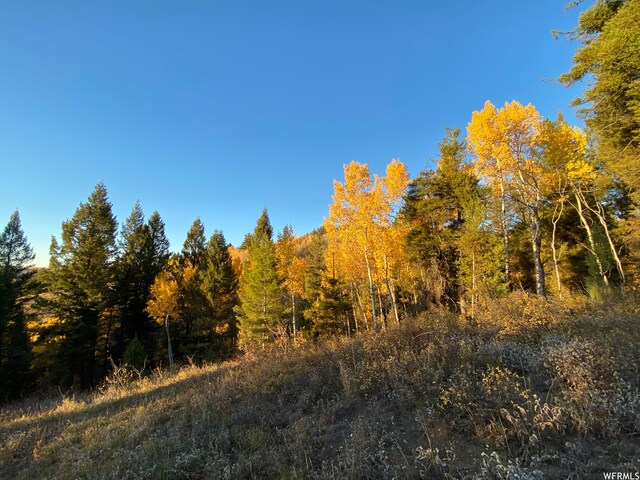 400 Grover Dry Farm Rd, Grover, WY 83122 - photo 63
