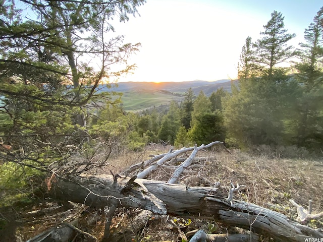 400 Grover Dry Farm Rd, Grover, WY 83122 - photo 37