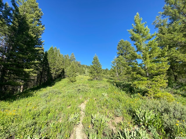 400 Grover Dry Farm Rd, Grover, WY 83122 - photo 8