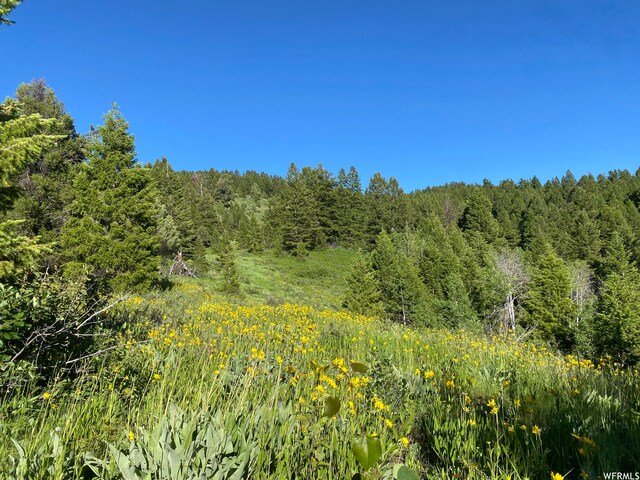 400 Grover Dry Farm Rd, Grover, WY 83122 - photo 18
