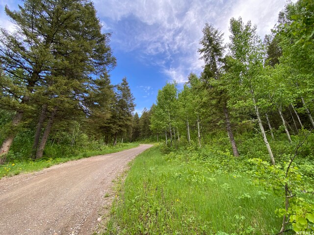 400 Grover Dry Farm Rd, Grover, WY 83122 - photo 75