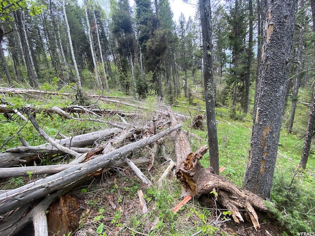 400 Grover Dry Farm Rd, Grover, WY 83122 - photo 48