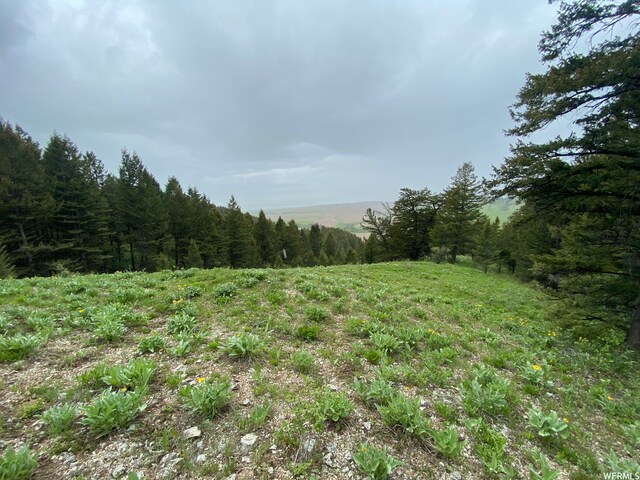 400 Grover Dry Farm Rd, Grover, WY 83122 - photo 57