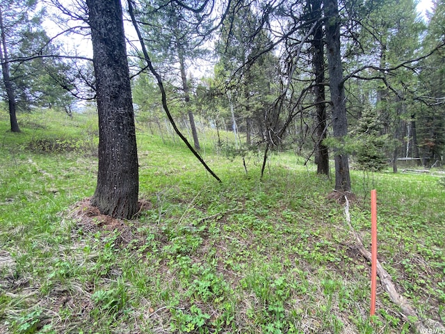 400 Grover Dry Farm Rd, Grover, WY 83122 - photo 47