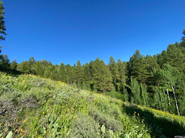 400 Grover Dry Farm Rd, Grover, WY 83122 - photo 4