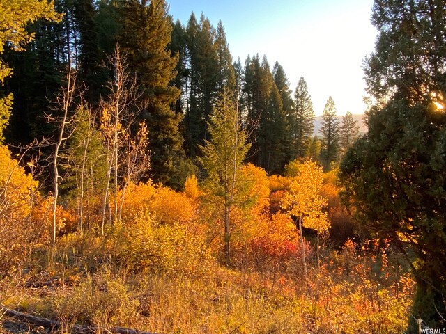 400 Grover Dry Farm Rd, Grover, WY 83122 - photo 64