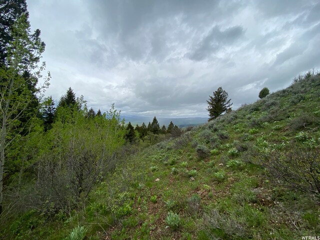 400 Grover Dry Farm Rd, Grover, WY 83122 - photo 40