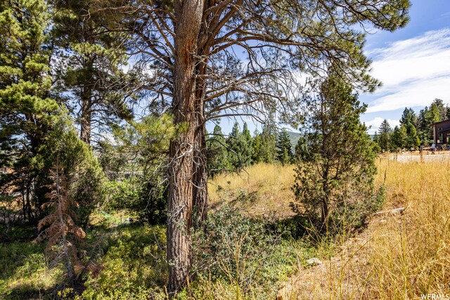 4060 W Crest Ct, Park City, UT 84098 - photo 19
