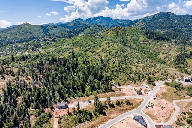 4060 W Crest Ct, Park City, UT 84098 - photo 25