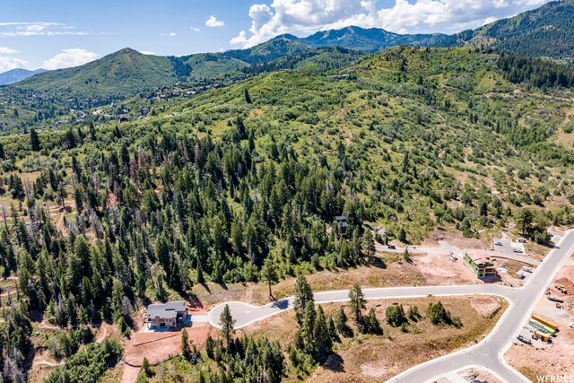4060 W Crest Ct, Park City, UT 84098 - photo 21
