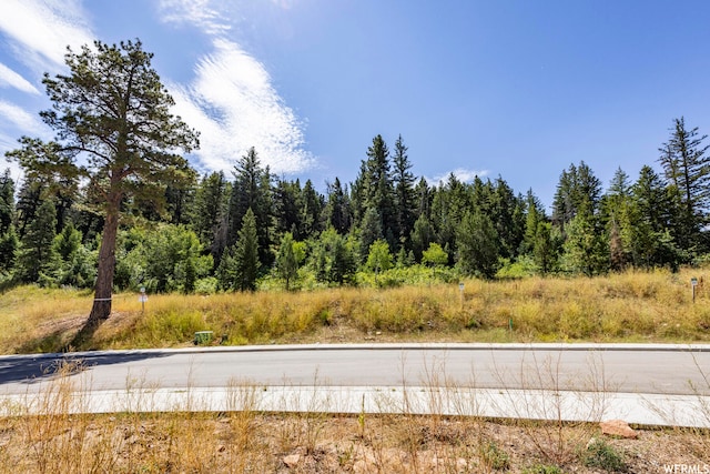 4060 W Crest Ct, Park City, UT 84098 - photo 13
