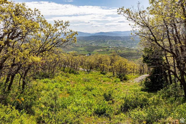 9029 Quail Ridge Ln Unit 34, Park City, UT 84098