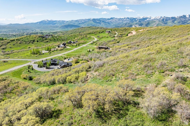 9029 Quail Ridge Ln Unit 34, Park City, UT 84098