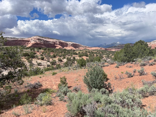 49 W Ryan Ct Unit 2, Moab, UT 84532