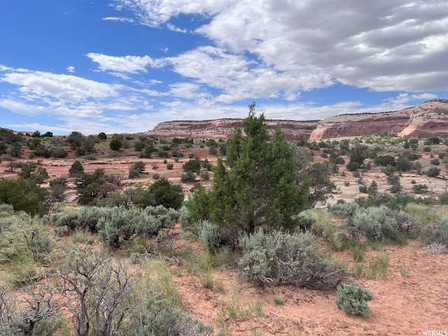 49 W Ryan Ct Unit 2, Moab, UT 84532