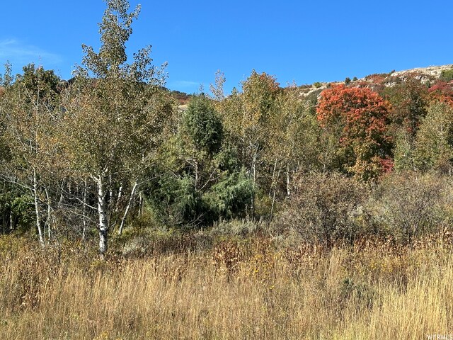 833 S Eutaw Rd Unit 46, Garden City, UT 84028