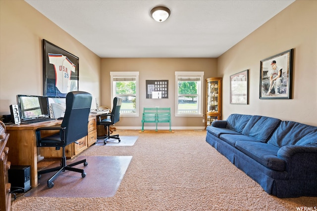 468 N Loafer Dr, Elk Ridge, UT 84651 - photo 17