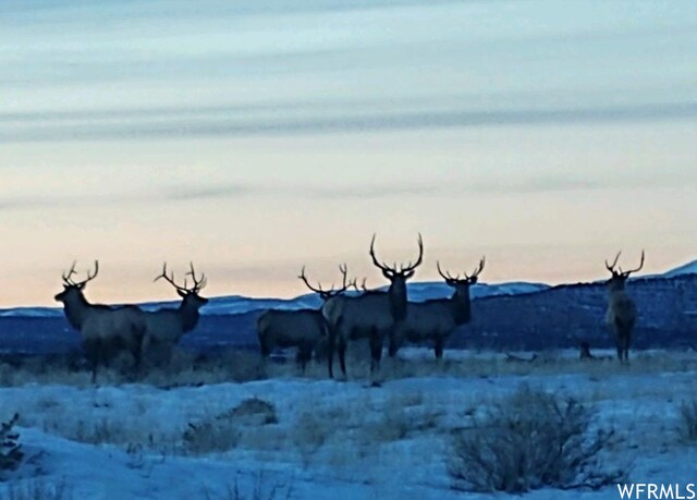 0 Unit 8, Duchesne, UT 84021 - photo 25