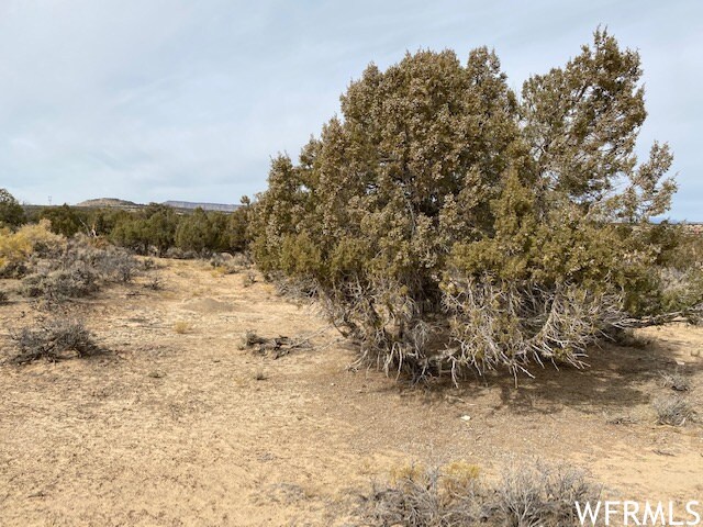 0 Unit 8, Duchesne, UT 84021 - photo 8