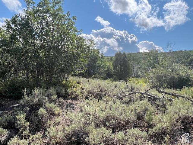 2325 Westview Dr Unit 1355, Heber City, UT 84032