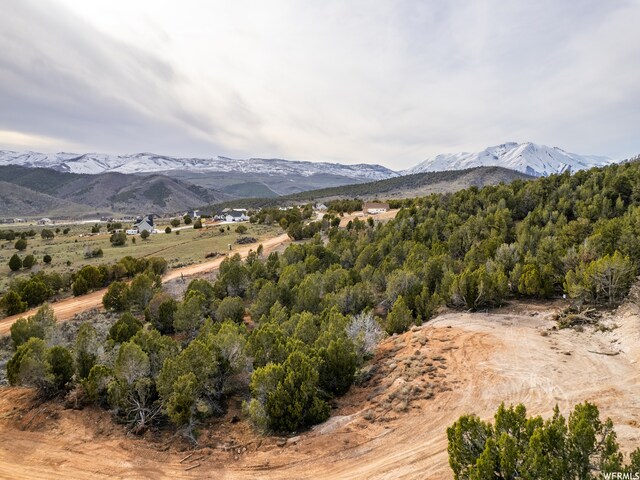 5247 Cougar Run Unit 44, Birdseye, UT 84629