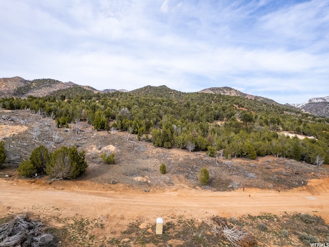5247 Cougar Run Unit 44, Birdseye, UT 84629