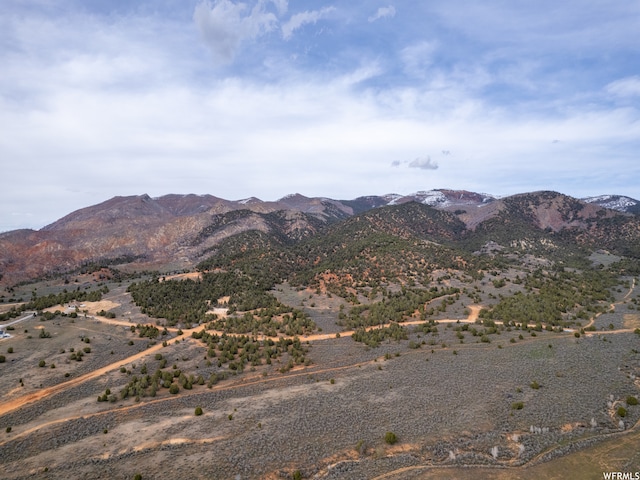 5247 Cougar Run Unit 44, Birdseye, UT 84629