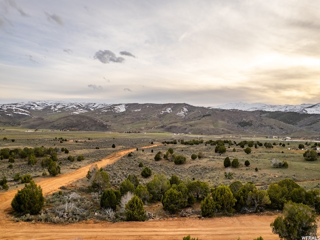 5247 Cougar Run Unit 44, Birdseye, UT 84629