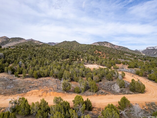 5247 Cougar Run Unit 44, Birdseye, UT 84629