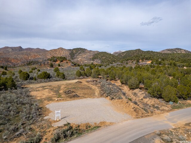 5247 Cougar Run Unit 44, Birdseye, UT 84629