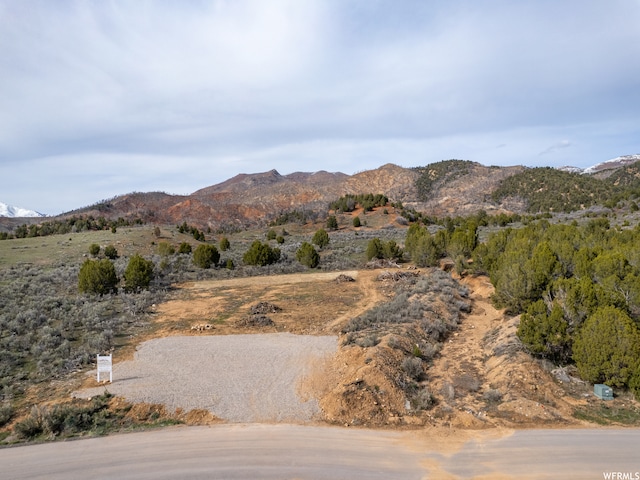 5247 Cougar Run Unit 44, Birdseye, UT 84629