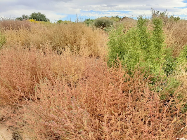 271 N Thompson Canyon Rd, Thompson, UT 84540