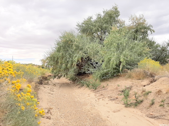 271 N Thompson Canyon Rd, Thompson, UT 84540