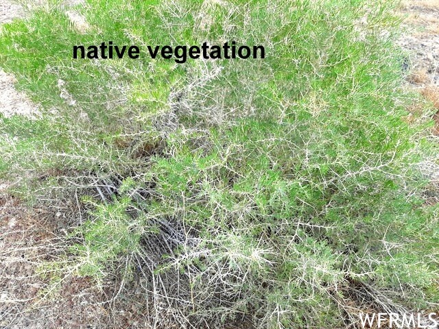 361 N Thompson Canyon Rd, Thompson, UT 84540