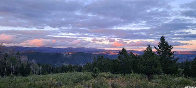 21000 Unit D13, Spanish Fork, UT 84660