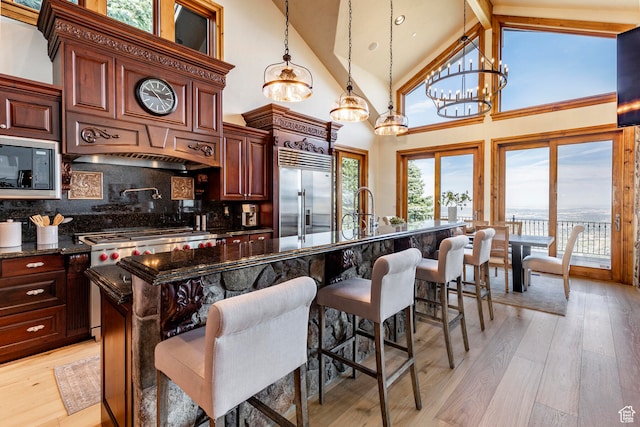 kitchen featuring light hardwood / wood-style floors, built in appliances, and plenty of natural light