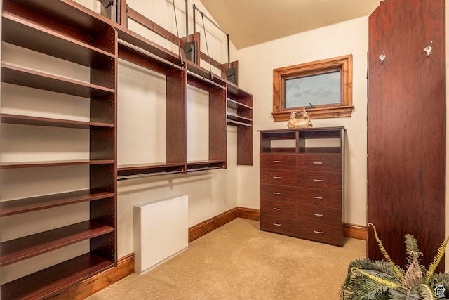 walk in closet with light colored carpet