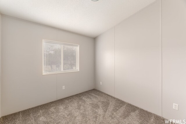 29665 N 9000 E, Fairview, UT 84629 - empty room featuring carpet floors and a textured ceiling