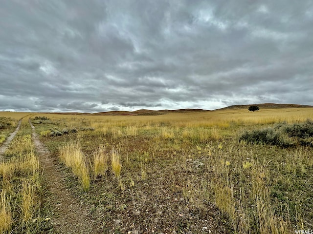 29665 N 9000 E, Fairview, UT 84629 - view of nature