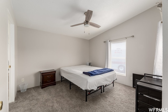 29665 N 9000 E, Fairview, UT 84629 - carpeted bedroom with lofted ceiling and ceiling fan