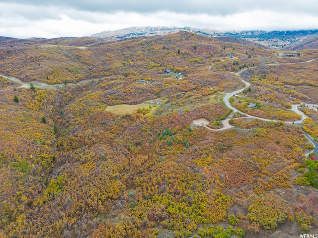 5931 E Snowbasin Rd Unit 1, Huntsville, UT 84317