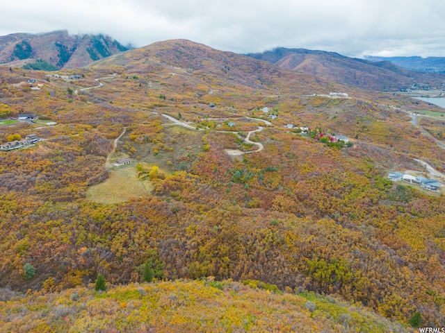 5931 E Snowbasin Rd Unit 1, Huntsville, UT 84317