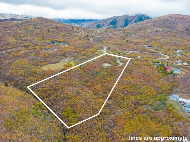 5931 E Snowbasin Rd Unit 1, Huntsville, UT 84317