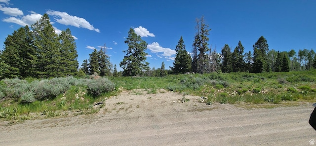 22596 S Snowbird Dr E Unit C31, Spanish Fork, UT 84660 - photo 4